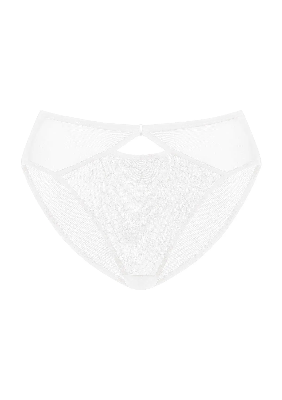 Ethereal Lines Embroidery Mesh Bikini Underwear